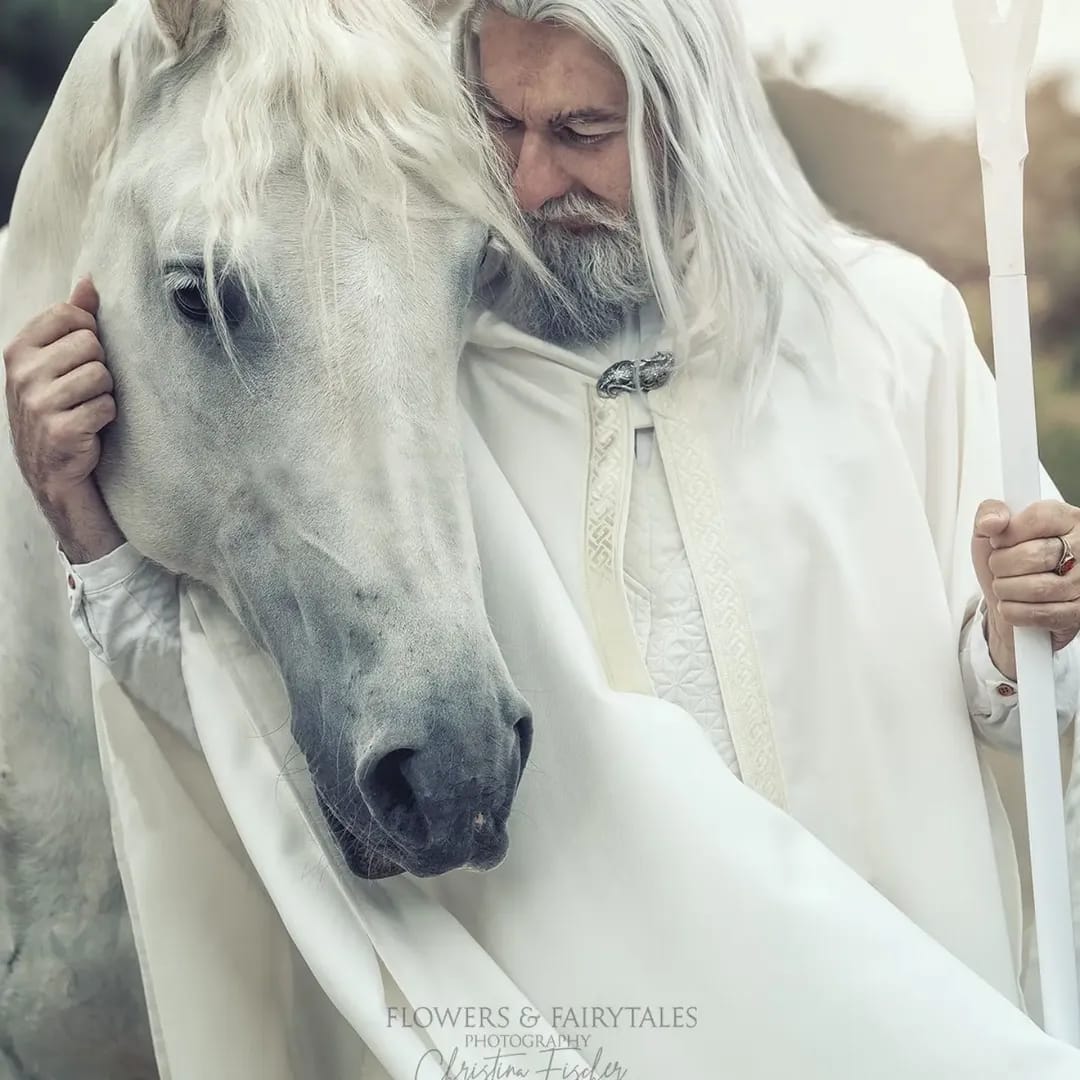 gandalf-horse