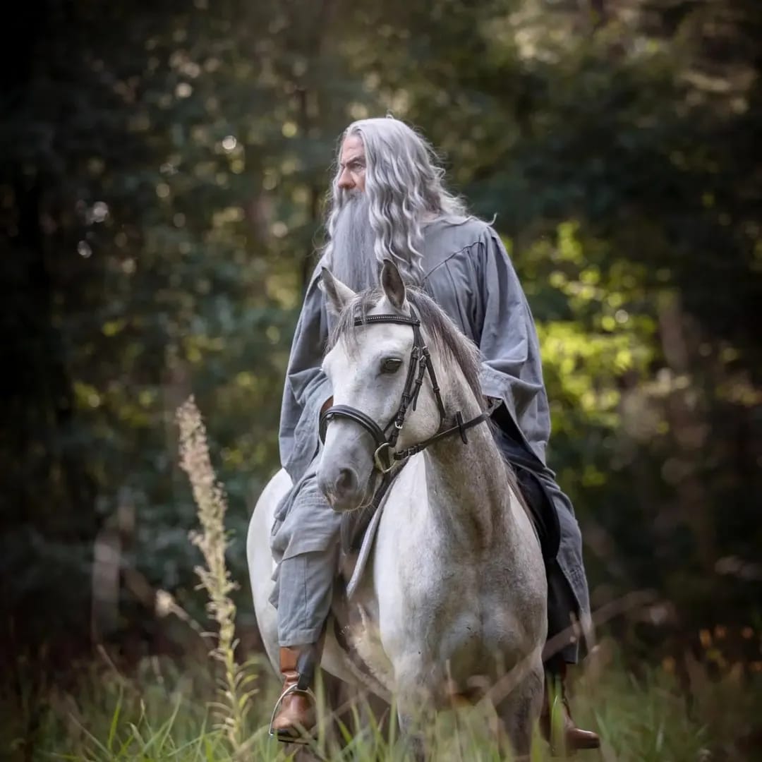 gandalf-riding